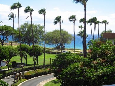 Wailea Condo 896112